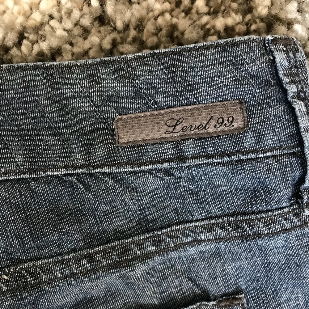 Level 99 Anthropologie chambray shorts